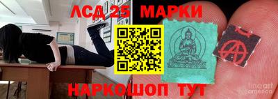 шишки Заводоуковск