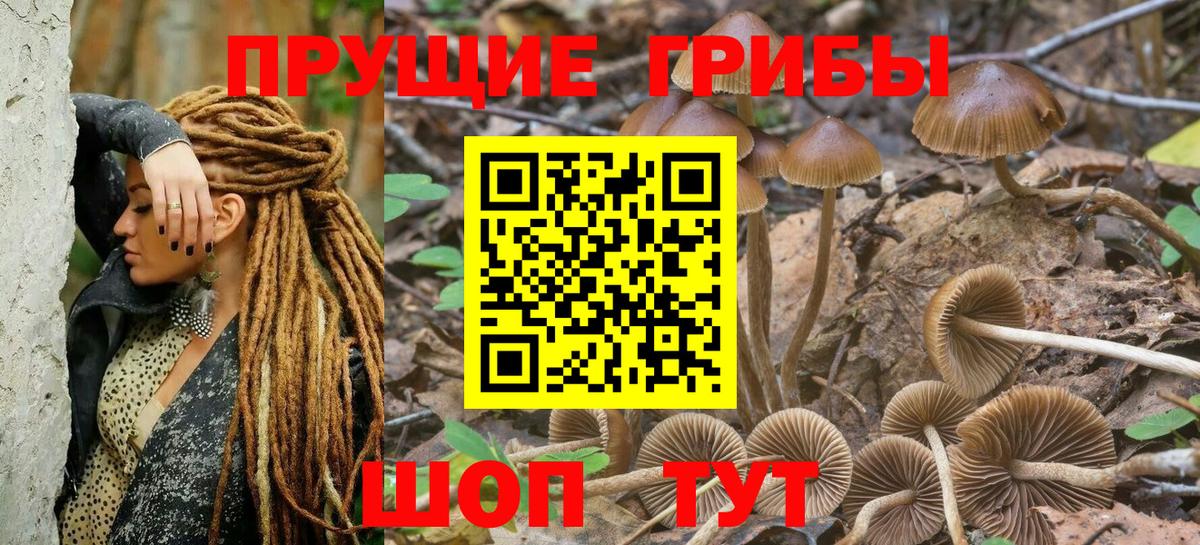 Псилоцибиновые грибы MAGIC MUSHROOMS  Псилоцибиновые грибы Psilocybine cubensis  Медногорск  Вход с VPN 