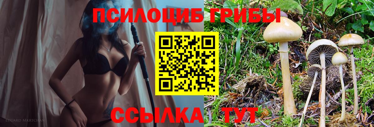 Бошки Шишки Медногорск