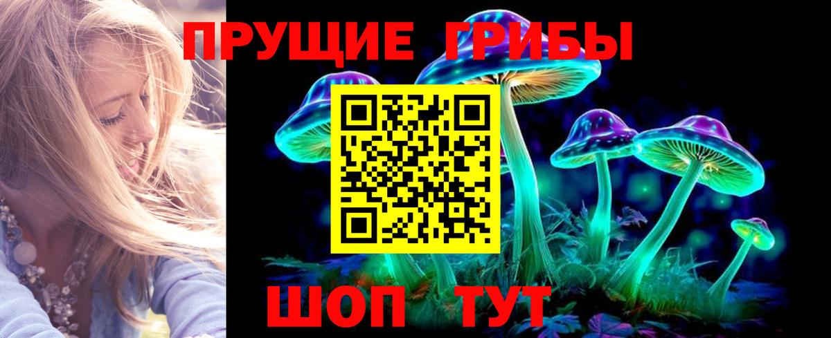 Галлюциногенные грибы GOLDEN TEACHER Медногорск